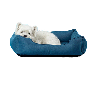 mejor cama para mascotas Armenia